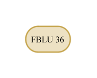 Fblu x 36